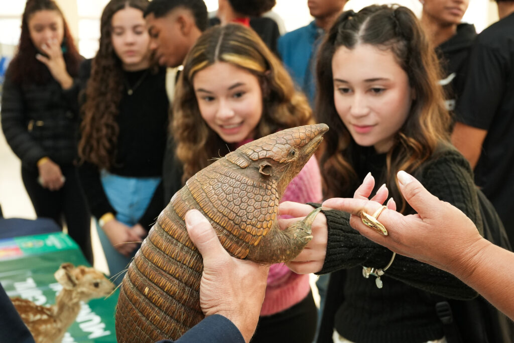 22ª SNCT na Fiocruz reúne 75 mil pessoas em nove estados